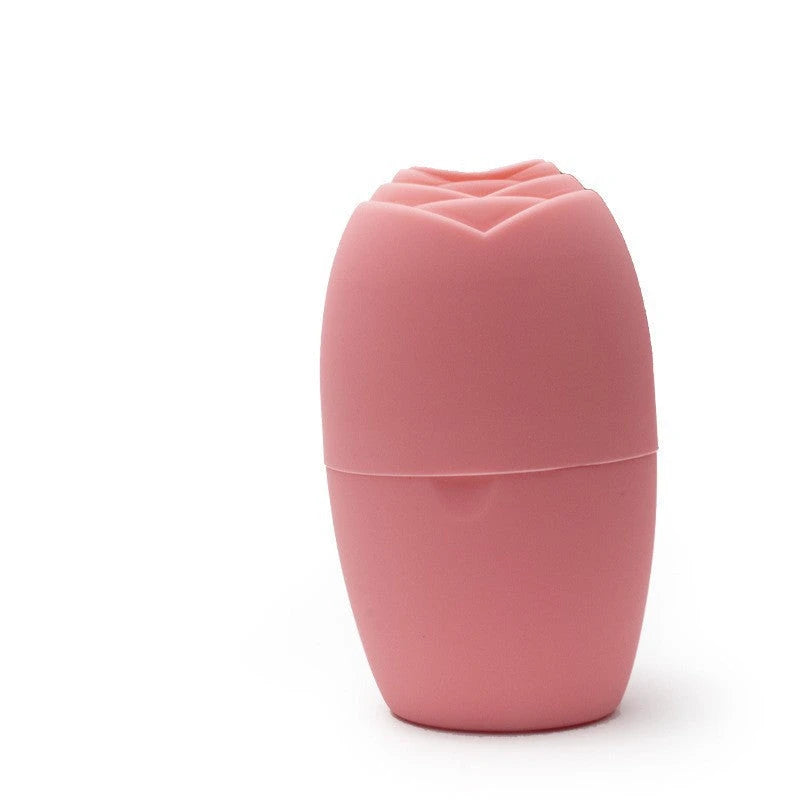 Platinum Silicone Facial Ice Roller