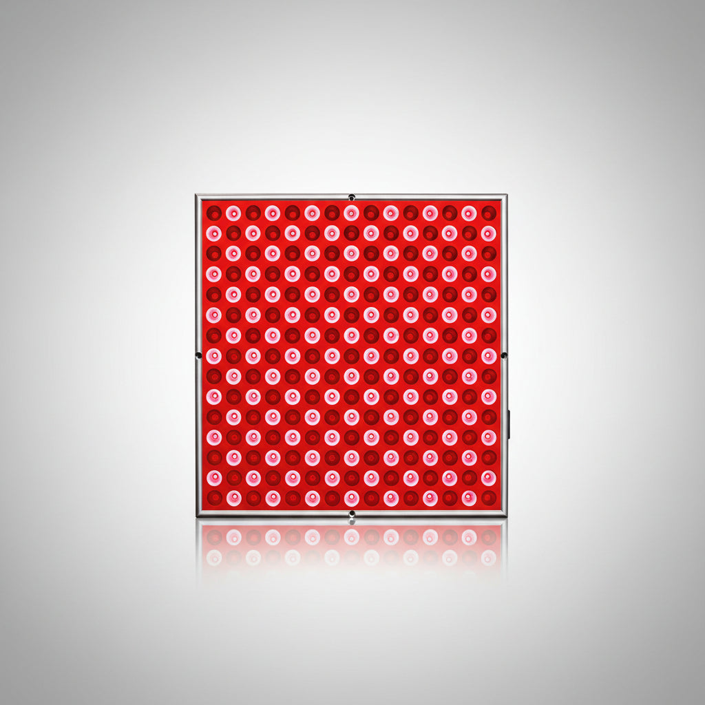 Grid of red and pink circular patterns on a white background